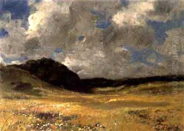 Bergwiese Mit Wolkenhimmel Oil Painting by Otto Froelicher