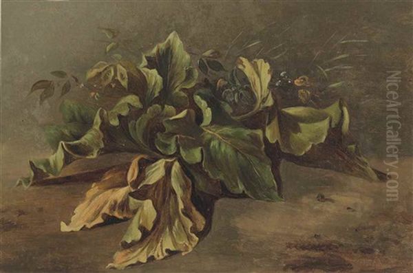 Study Of A Plant Oil Painting by Carl Ludwig Frommel