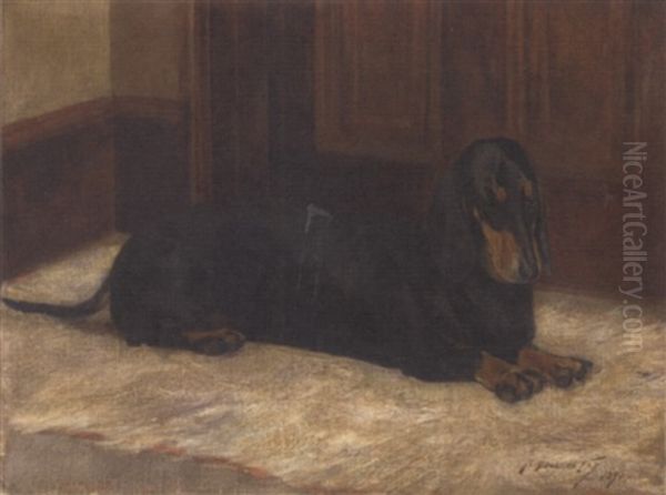 A Dachshund In An Interior Oil Painting by R. Douglas Fry