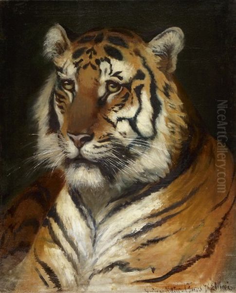 Tigerkopf Oil Painting by Carl Fuchs