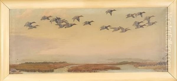 Ducks Over Marshlands by Louis Agassiz Fuertes