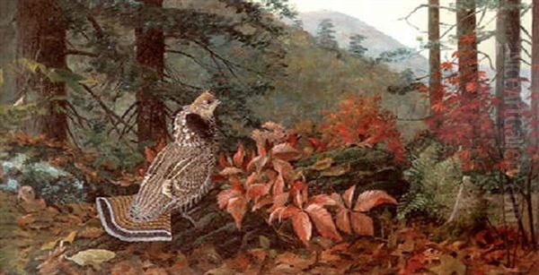 Autumn In The Adirondacks Oil Painting by Louis Agassiz Fuertes