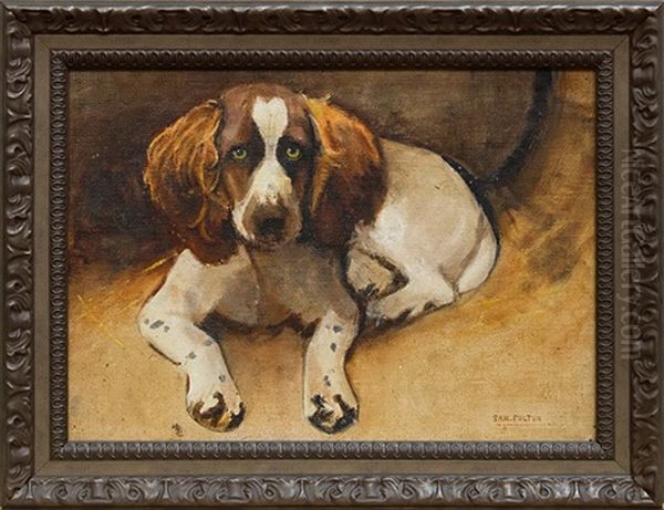 Springer Spaniel Oil Painting by Samuel Fulton