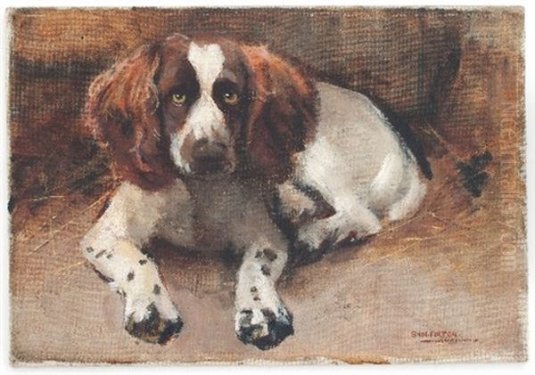 Study Of A Spaniel Oil Painting by Samuel Fulton