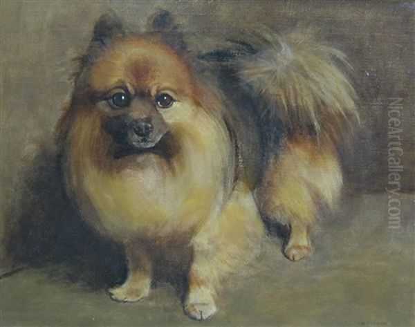 A Pomeranian Dog Oil Painting by Samuel Fulton