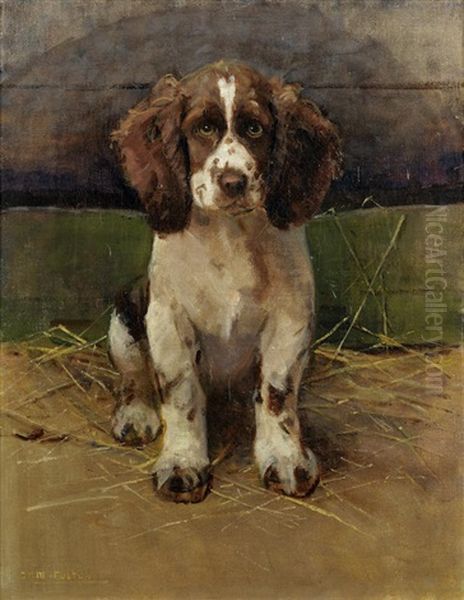 Nancy, A Springer Spaniel Oil Painting by Samuel Fulton