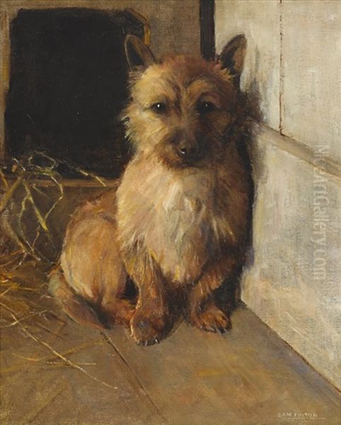 A Cairn Terrier In A Kennel Oil Painting by Samuel Fulton