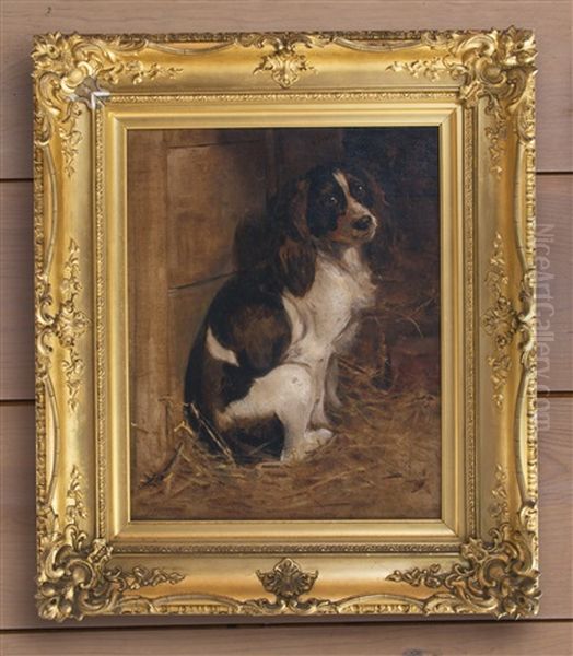 Springer Spaniel Oil Painting by Samuel Fulton