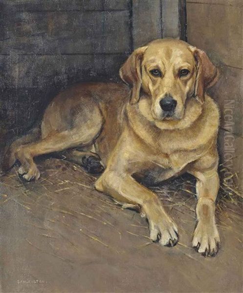 'luath', The Labrador Oil Painting by Samuel Fulton