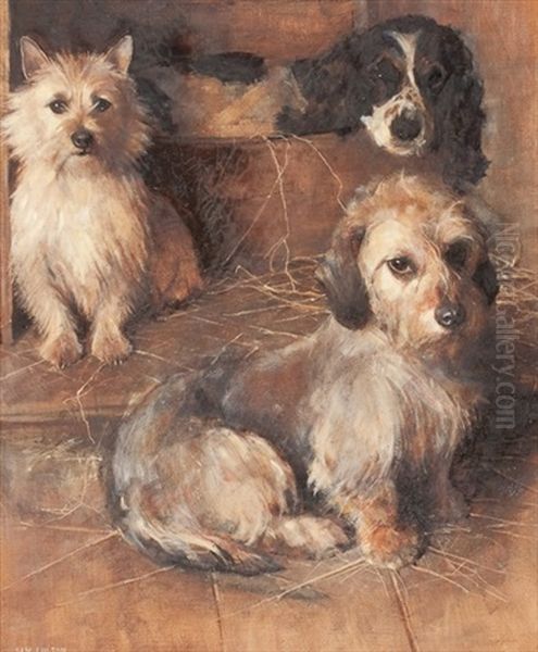 Two Terriers And A Spaniel Oil Painting by Samuel Fulton