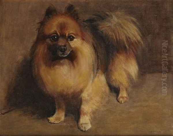 Pomeranian Oil Painting by Samuel Fulton