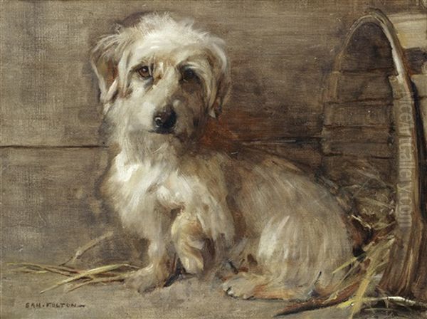 Dandie Dinmont Oil Painting by Samuel Fulton