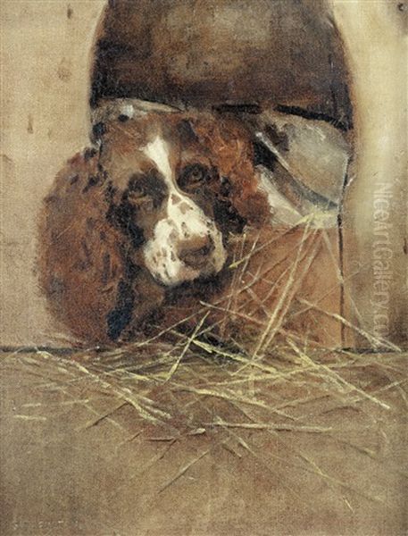 Home, Sweet Home - Spaniel At Rest Oil Painting by Samuel Fulton