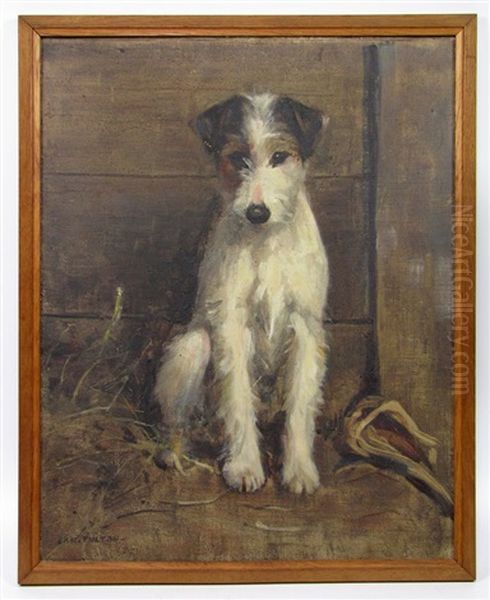 Untitled (portrait Of Jack Russell Terrier) Oil Painting by Samuel Fulton