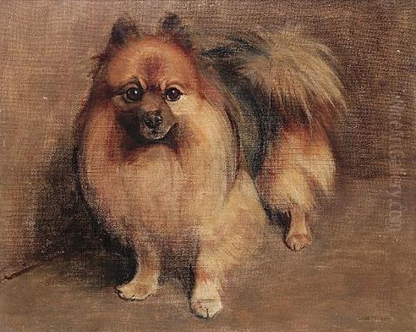 "chips", A Pomeranian Oil Painting by Samuel Fulton