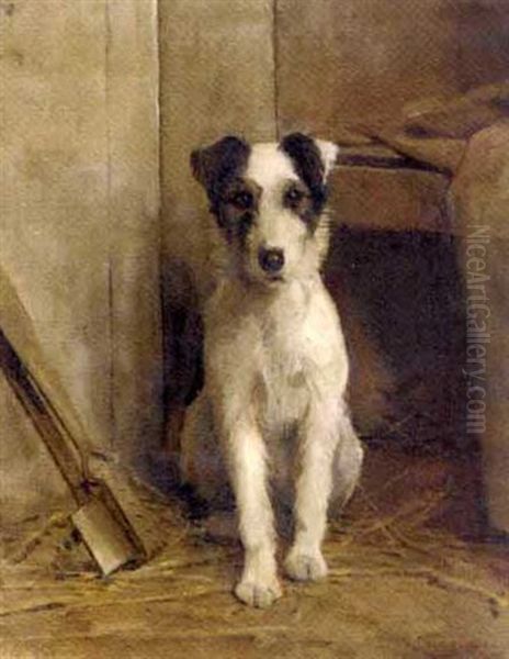 Rough Coated Jack Russell Terrier Puppy Oil Painting by Samuel Fulton