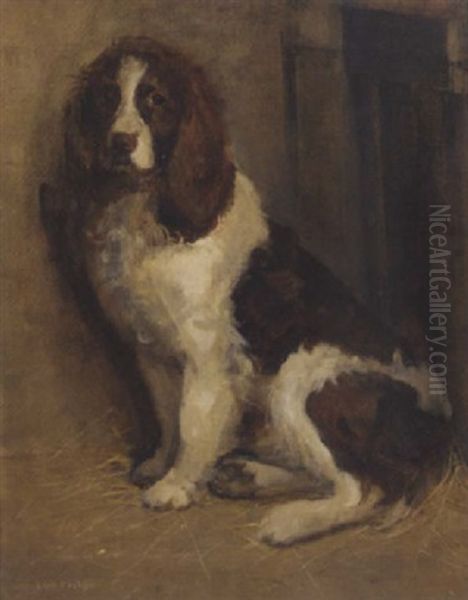 A Cocker Spaniel Oil Painting by Samuel Fulton