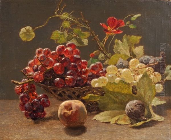 Weisse Und Rote Trauben In Fruchtekorb Oil Painting by Francois Furet