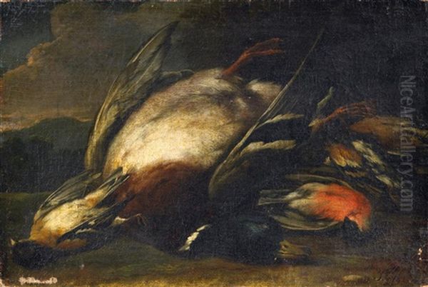 Jagdstilleben Mit Erlegter Ente Und Singvogeln Oil Painting by Jan Fyt