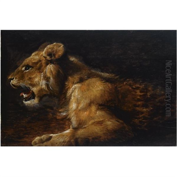 A Study Of A Reclining Lioness Oil Painting by Jan Fyt