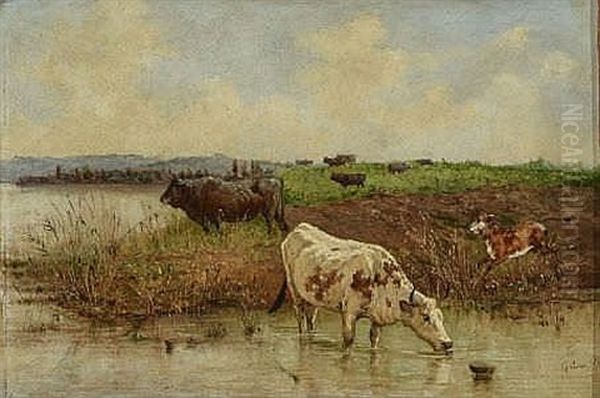 Rinder Am Flussufer Oil Painting by Giuseppe Gabani