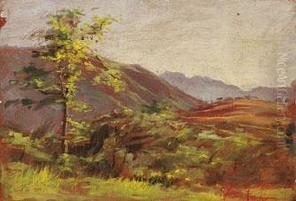 Paesaggio Montano Oil Painting by Vittorio Avanzi