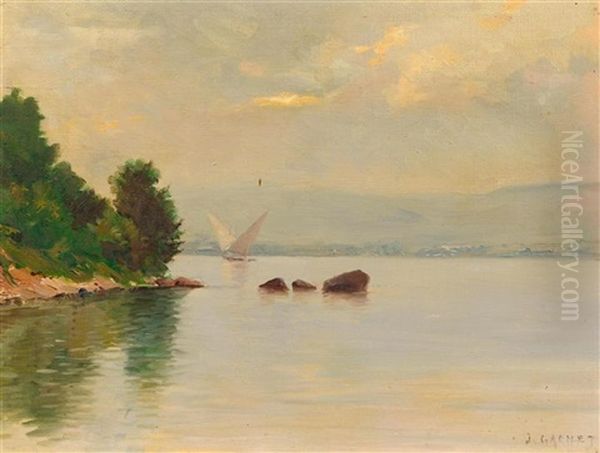 Sicht Auf Den Genfersee Oil Painting by Jules Gachet