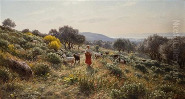 Bergere A Siraidi, Sur Les Hauteurs De Bone (annaba), Algerie Ou Matinee De Printemps A Bone Oil Painting by Antoine Gadan