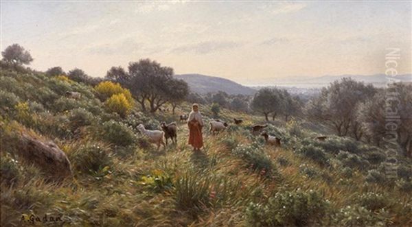 Sur Les Hauteurs De Bone (annaba), Algerie Oil Painting by Antoine Gadan