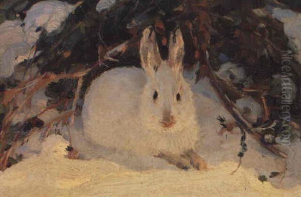 Study Of A Hare In Winter Oil Painting by Clarence Alphonse Gagnon