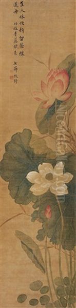 Lotus Oil Painting by  Gai Qi