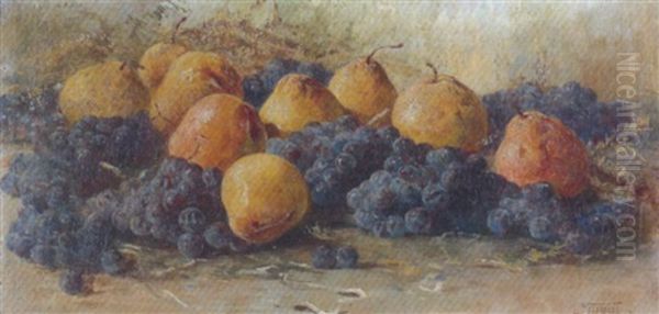 Stilleben Mit Birnen Und Dunklen Trauben Oil Painting by Gioacchino Galbusera