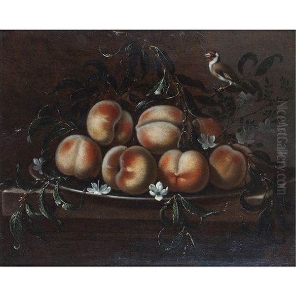 Still Life Of Peaches And Songbird Oil Painting by Fede Galizia