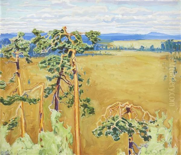 A Wild Marshland Beyond The North Wind / Odekarr Bortom Nordanvind Oil Painting by Akseli Valdemar Gallen-Kallela