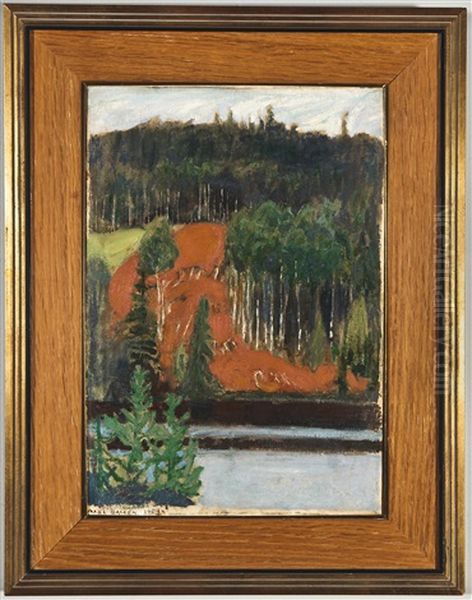 A View From Keitele Or Ruovesi Oil Painting by Akseli Valdemar Gallen-Kallela