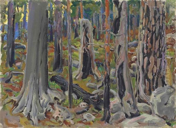 Kaskimetsa (burnt Forest) Oil Painting by Akseli Valdemar Gallen-Kallela