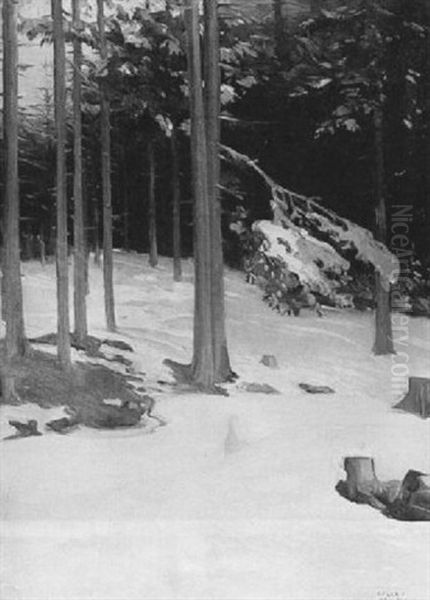 Pine Trees Under Snow Oil Painting by Akseli Valdemar Gallen-Kallela