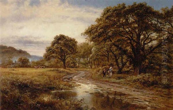 Wiesenlandschaft In Nordwales Bei Bettys-y-loch by Robert Gallon