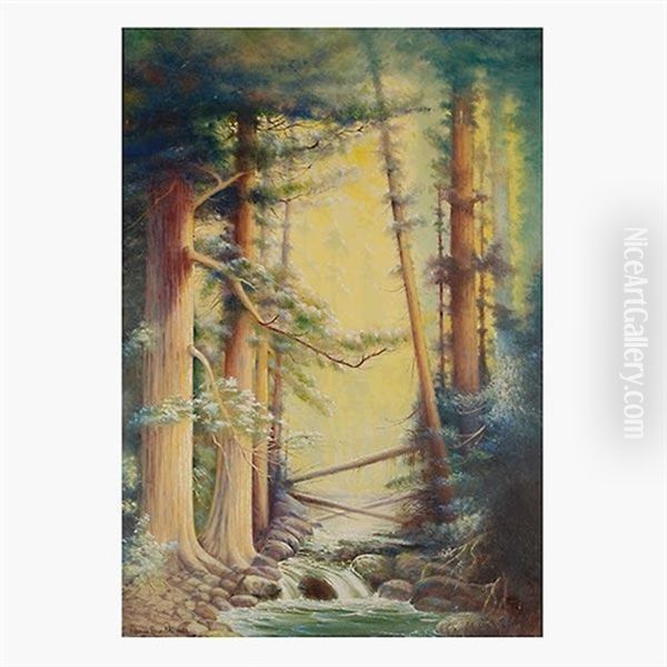 Redwoods Oil Painting by Edna Gamble