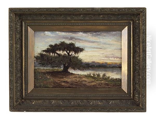 Oak Tree On The Bayou, At Dusk Oil Painting by Alphonse J. Gamotis