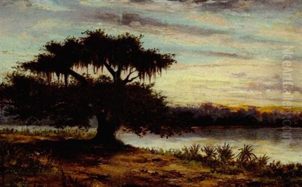 Oak Tree On The Bayou, At Dusk Oil Painting by Alphonse J. Gamotis