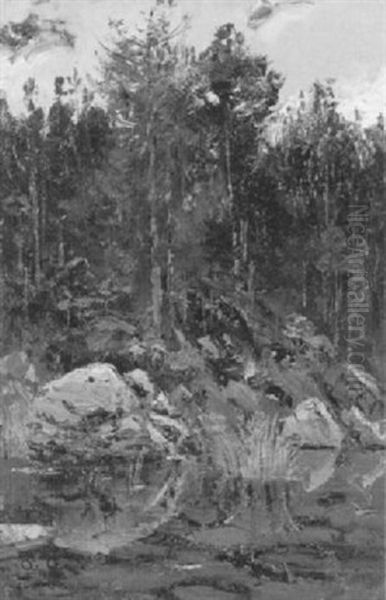 Uferpartie Eines Waldsees Mit Felsen Und Tannen Oil Painting by Otto Gampert