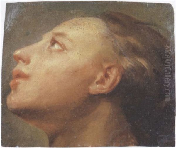 Head Of A Woman Oil Painting by Gaetano Gandolfi