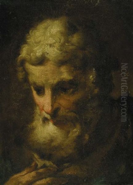 The Head Of An Old Man Oil Painting by Ubaldo Gandolfi