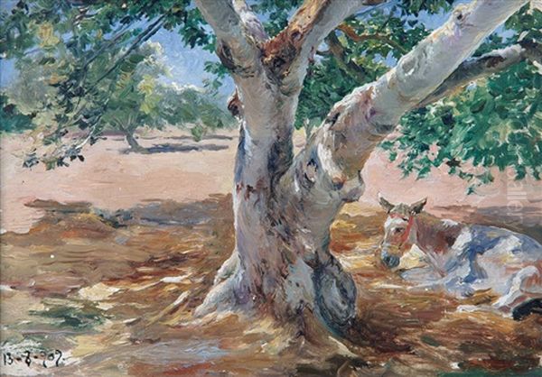 Burro Bajo El Arbol Oil Painting by Manuel Garcia y Rodriguez