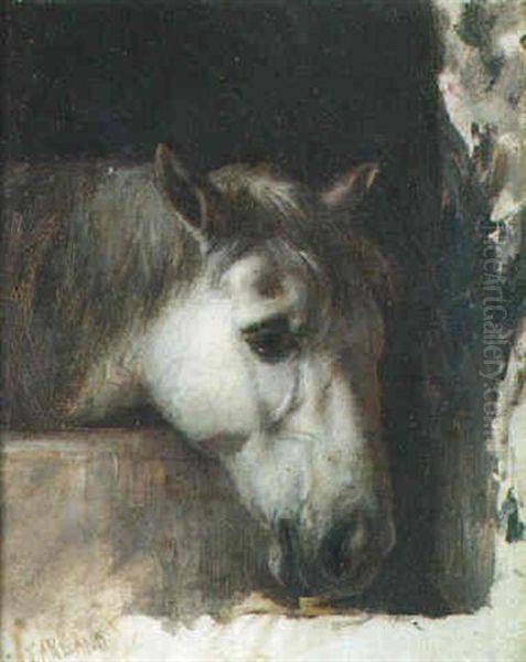 Study Of A Horse's Head Oil Painting by Henry Garland