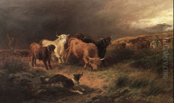 Herding Highland Cattle Oil Painting by Henry Garland