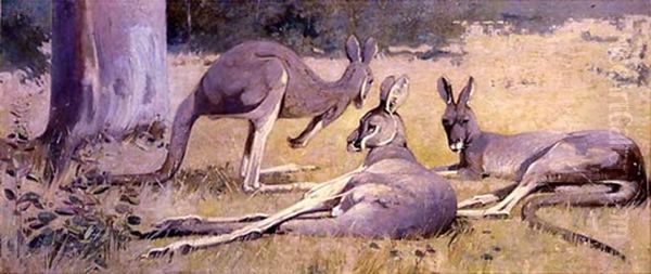 Three Grey Kangaroos Oil Painting by Henry (Harry) Glede Garlick