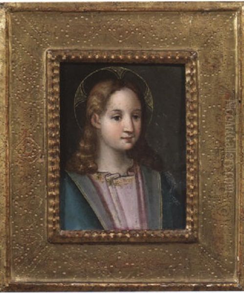 Gesu Bambino Oil Painting by Benvenuto Tisi da Garofalo