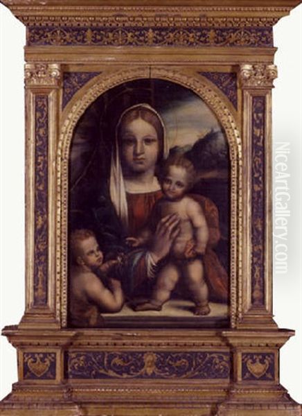 Madonna And Child With The Infant Saint John The Baptist Oil Painting by Benvenuto Tisi da Garofalo